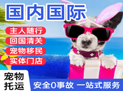 呼和浩特白塔机场托运国际宠物托运 【国